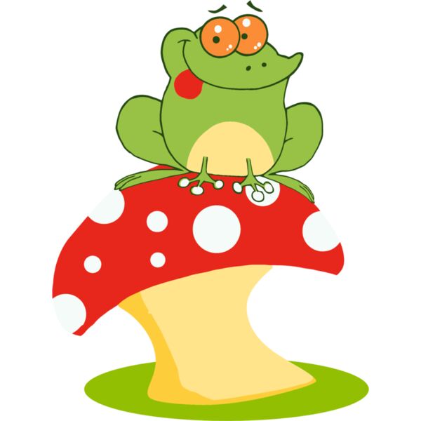green frog sitting on toadstool red white Thumbnail