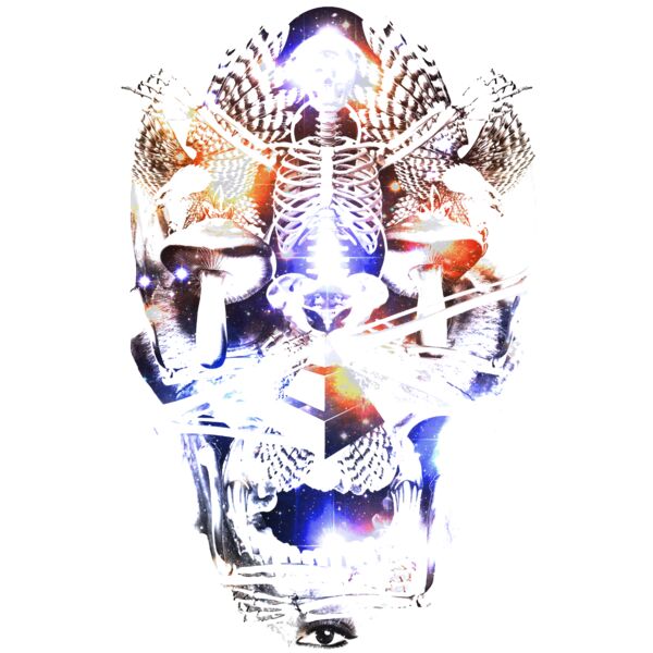 Skull Eagle Thumbnail