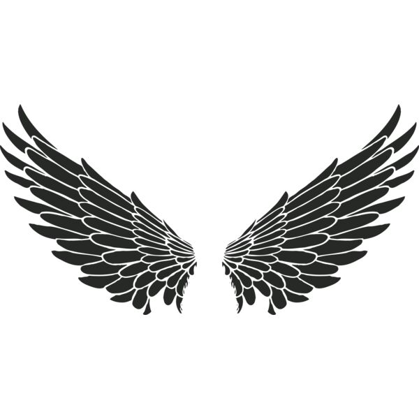 Black wings Thumbnail