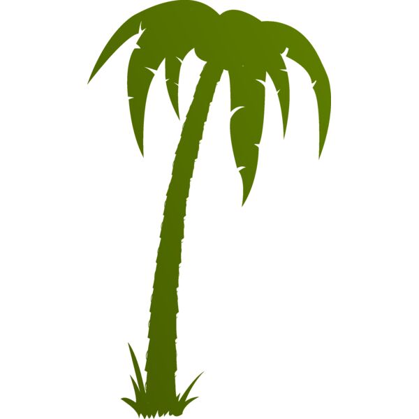 Palm tree 4 Thumbnail